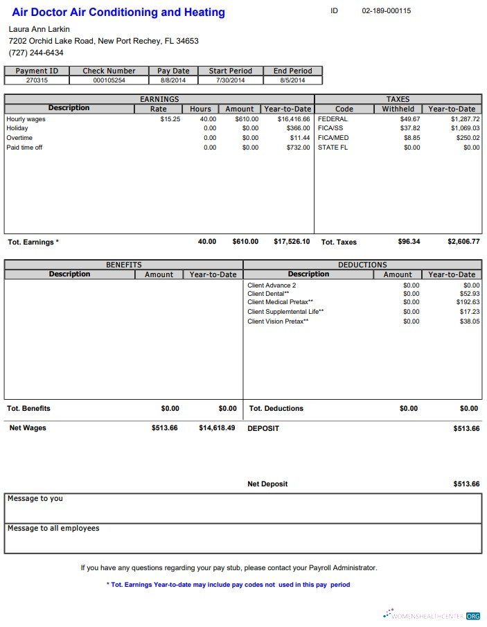 Download Air Doctor Paystub Photoshop template